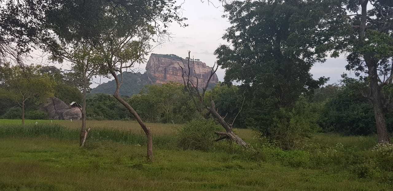 A natural landscape with a prominent rock formation in the background, surrounded by trees and grass.