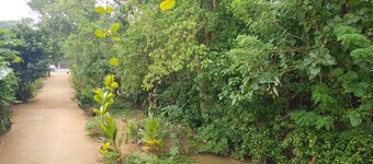 Border