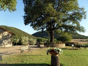 Giardino