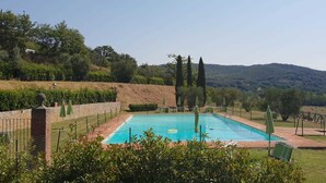 Una piscina rectangular con agua azul cristalina, rodeada por un muro de ladrillo y una zona verde con árboles y colinas al fondo.