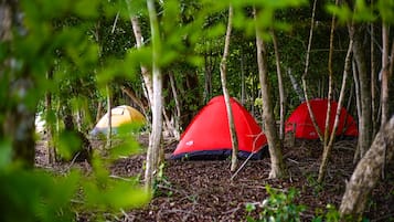 Tent, Japanese Futon, Non Smoking