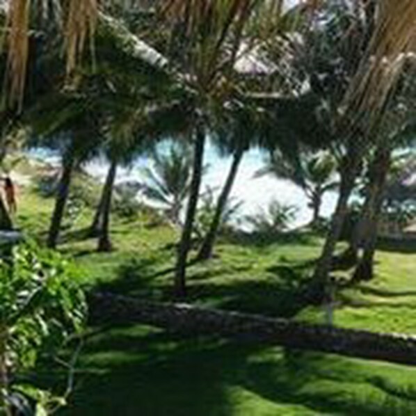 Garden - Hotel Playazul (Barahona)