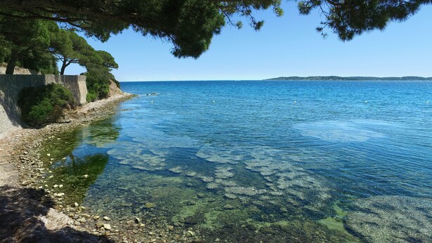 A clear coastal view with rocky shorelines and dense trees.