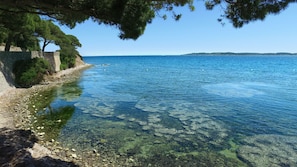 Una vista despejada del litoral con costas rocosas y árboles frondosos.