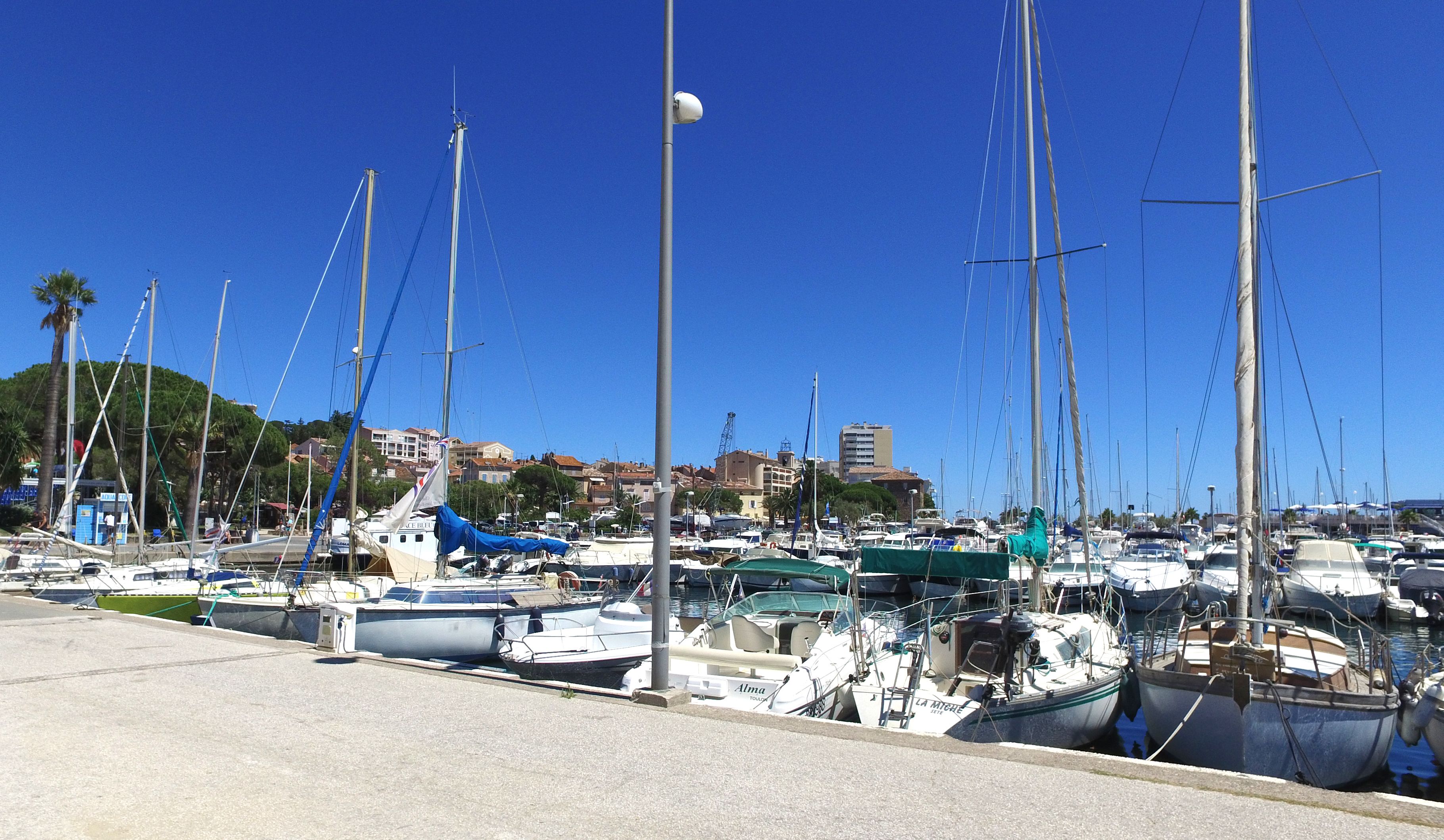 A marina with multiple boats docked, a clear blue sky, and buildings in the background.