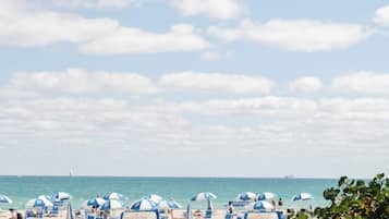 Playa