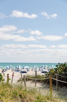 View of beach at Mr. C Miami – Coconut Grove