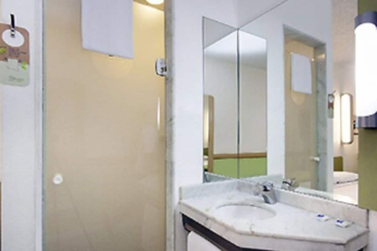 shower, eco-friendly toiletries, hair dryer, towels