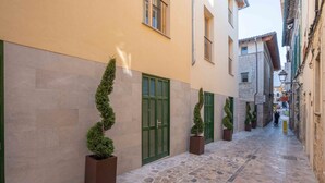Una estrecha calle adoquinada bordeada por edificios con contraventanas verdes y muros de piedra.