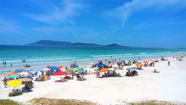 Una playa con numerosos sombrillas de colores y gente relajándose.