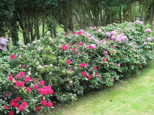 Ferienwohnungen Schlossblick