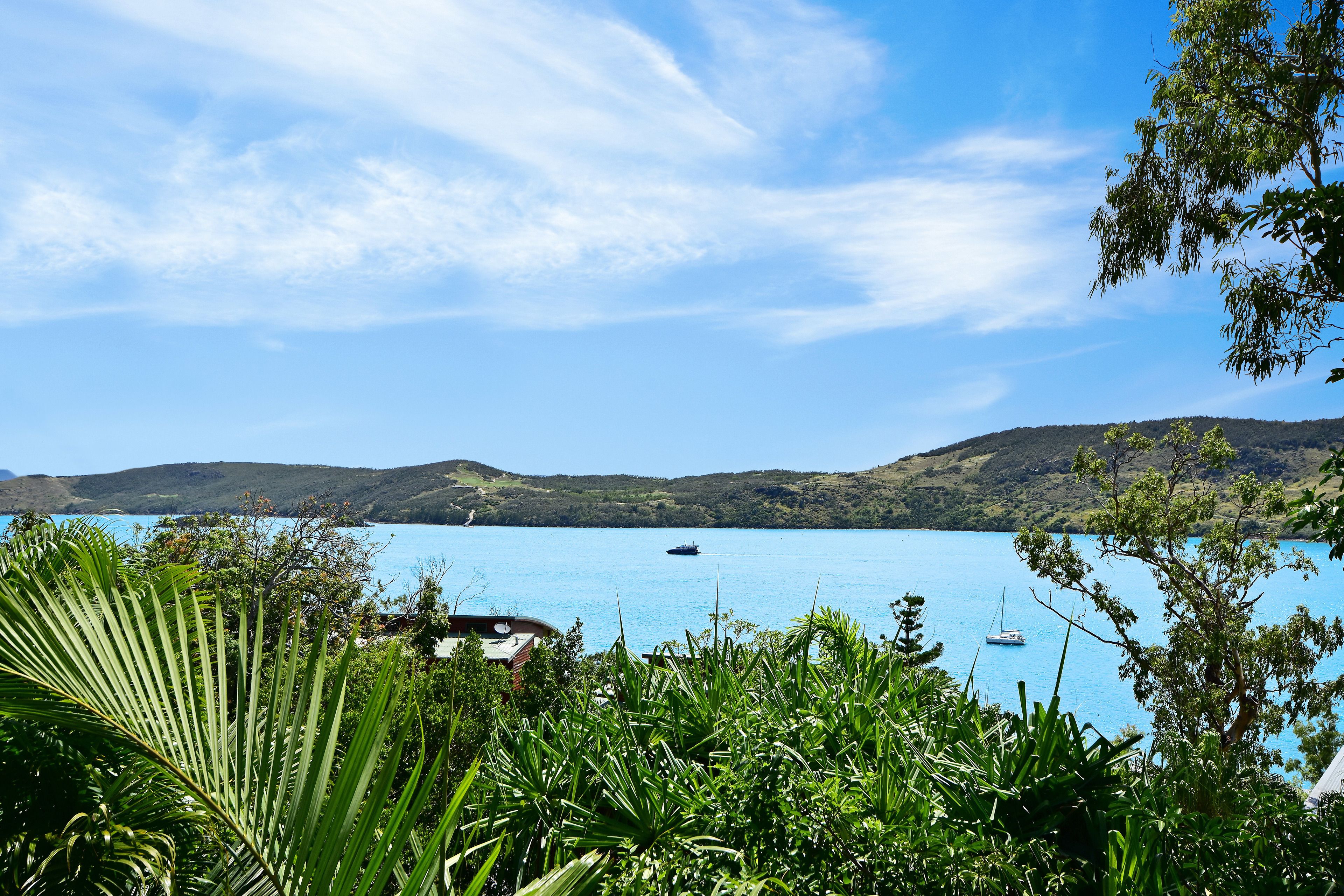 Un paisaje costero con cielo azul despejado, mar tranquilo y abundante vegetación.