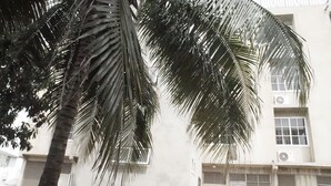 Un edificio con fachada blanca y varias ventanas.