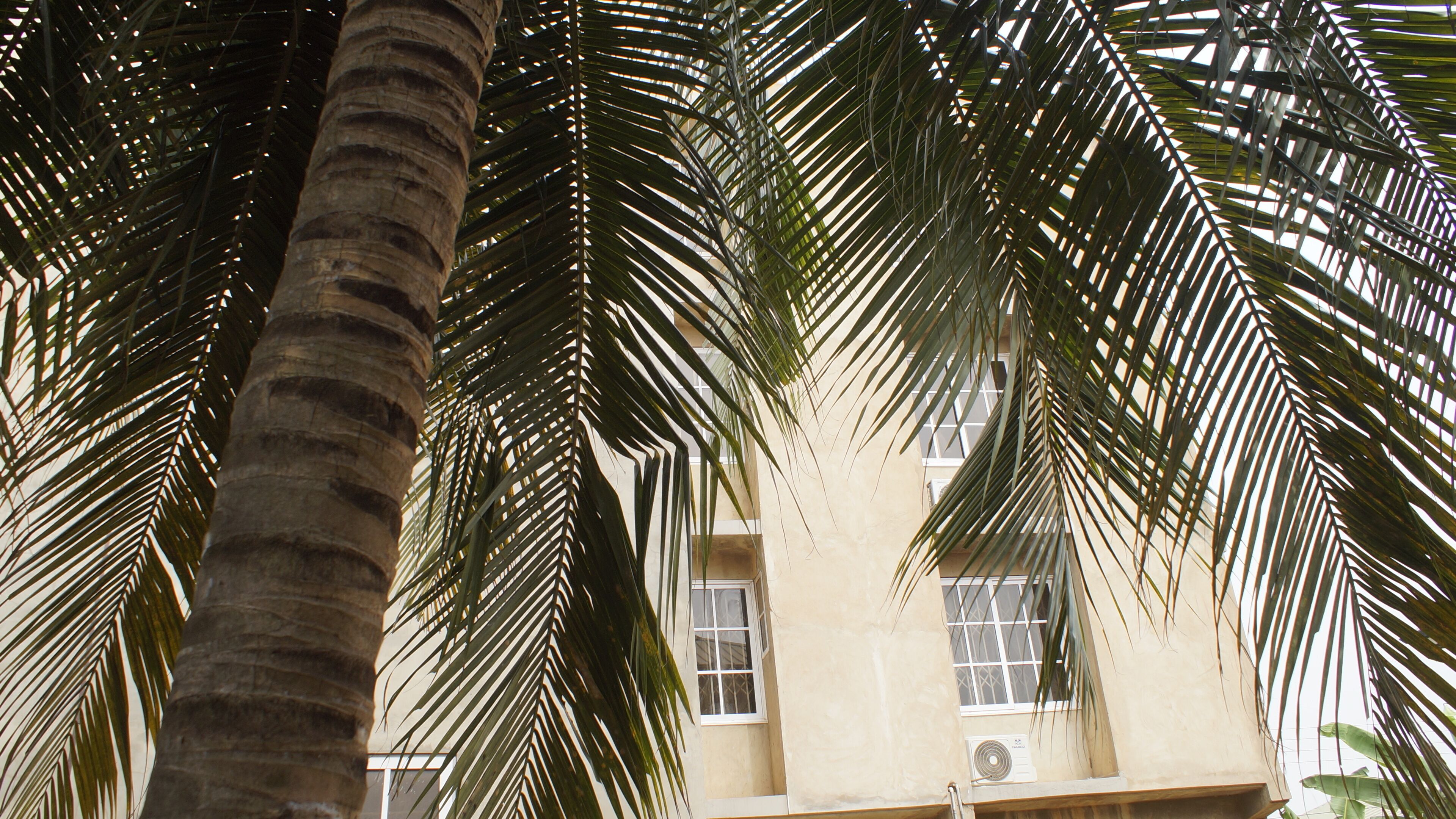 واجهة المنشأة