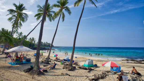 Ein Strand mit Palmen, Zelten und Sonnenschirmen.