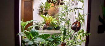 Casa Verde, Quepos central view