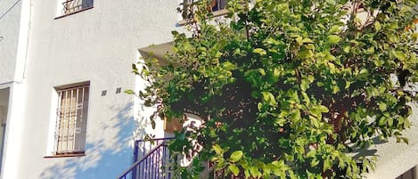 Un edificio de varios pisos con una escalera que conduce a la entrada, rodeado de vegetación.