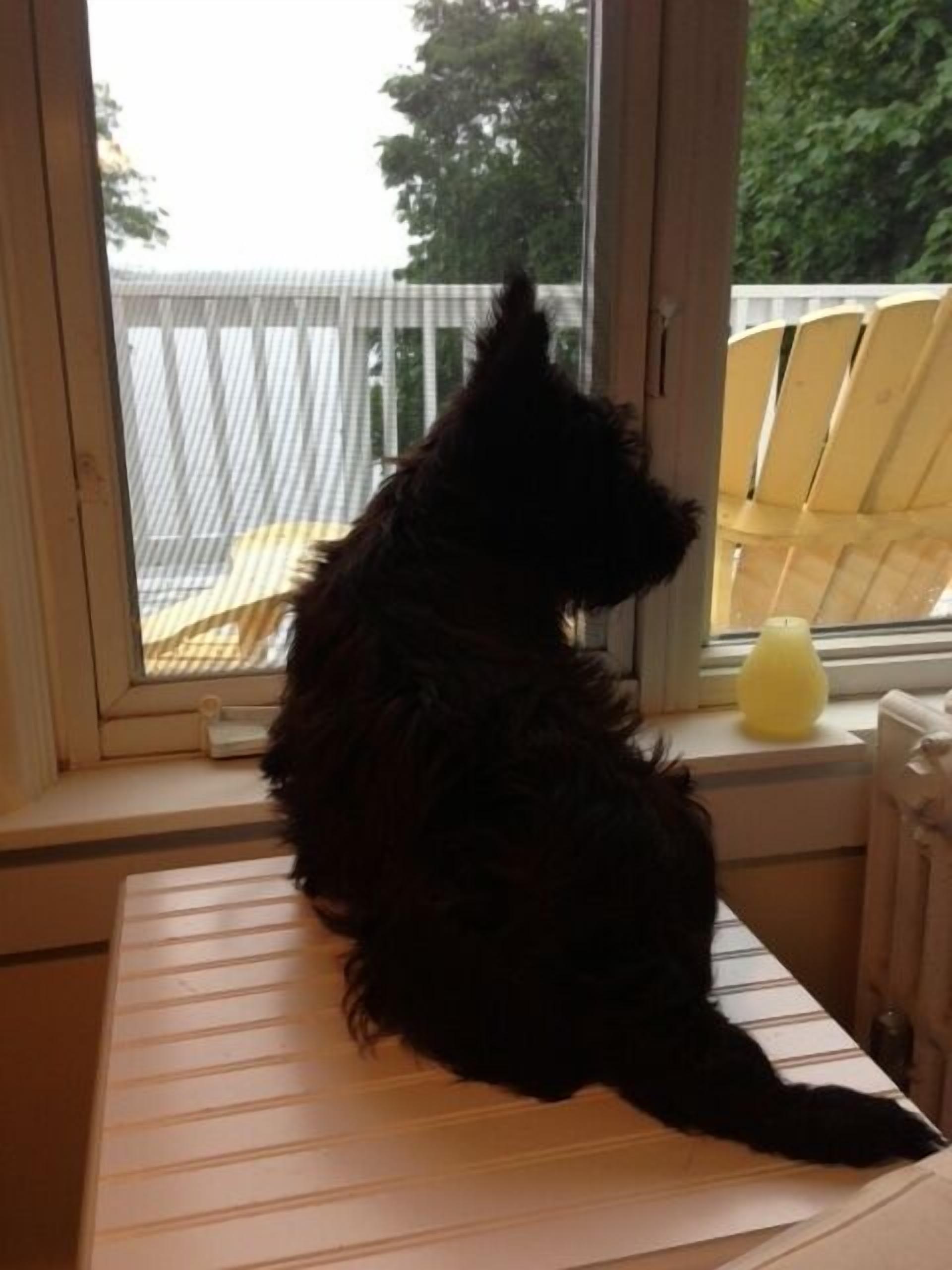 Waterfront Bliss in Bath