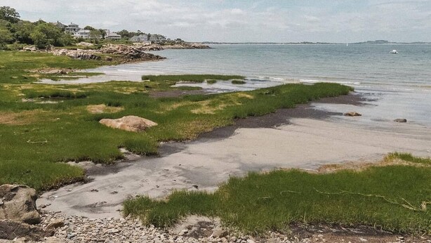 Een kustlandschap met een zandstrand, grasvelden en een wateroppervlak.