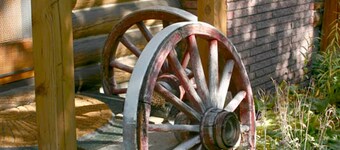 Accueil de pêche / ski adapté aux chiens, cour biologique, au bord d'une rivière / montagne