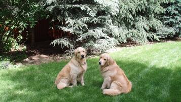 Overnatningsstedets område