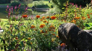 Ein Garten mit Teich, Pflanzenvielfalt und einem großen Felsen.