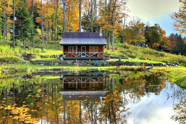 Beautiful photo taken by guest. The cabin faces the pond for complete privacy.