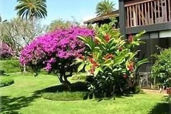 Back yard off Screened Lanai and Golf Course