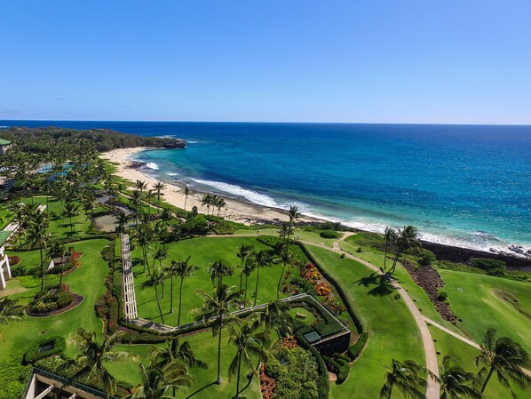 A resort with a golf course, beachfront, and palm trees.