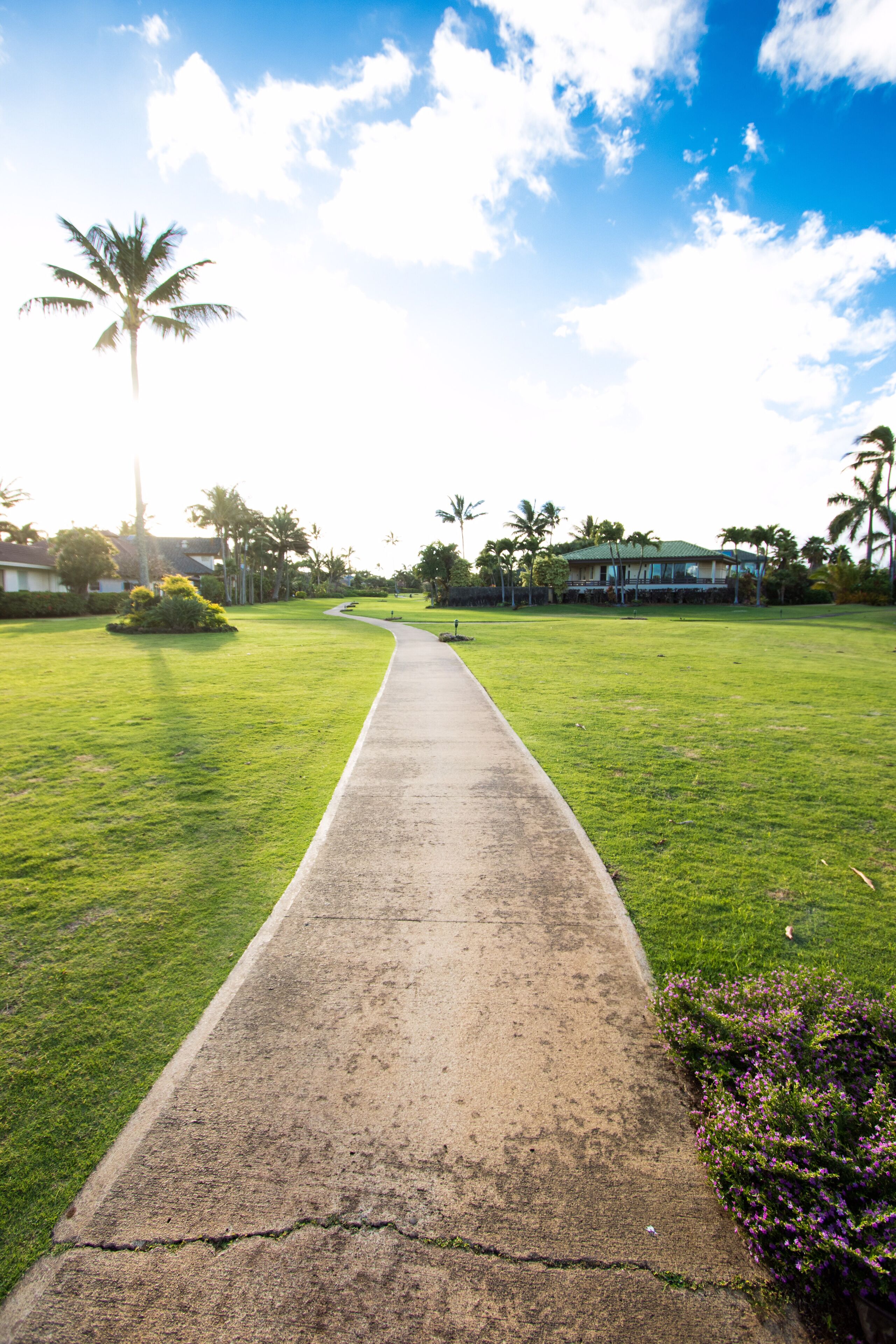 A paved pathway leading through a well-maintained grassy area with palm trees and a house in the background.