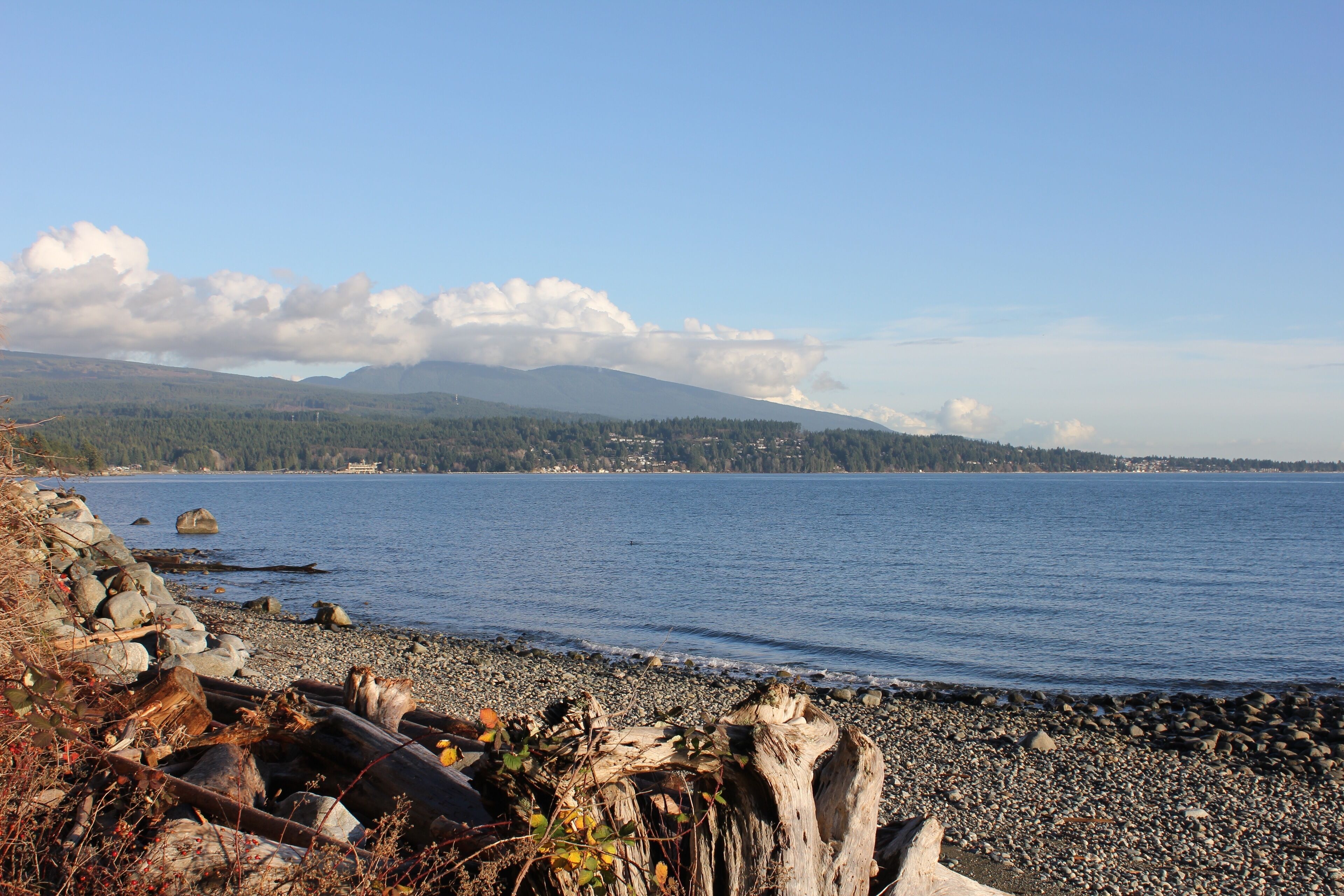 10 Best LongTerm Rentals In Sunshine Coast, Canada Updated 2024