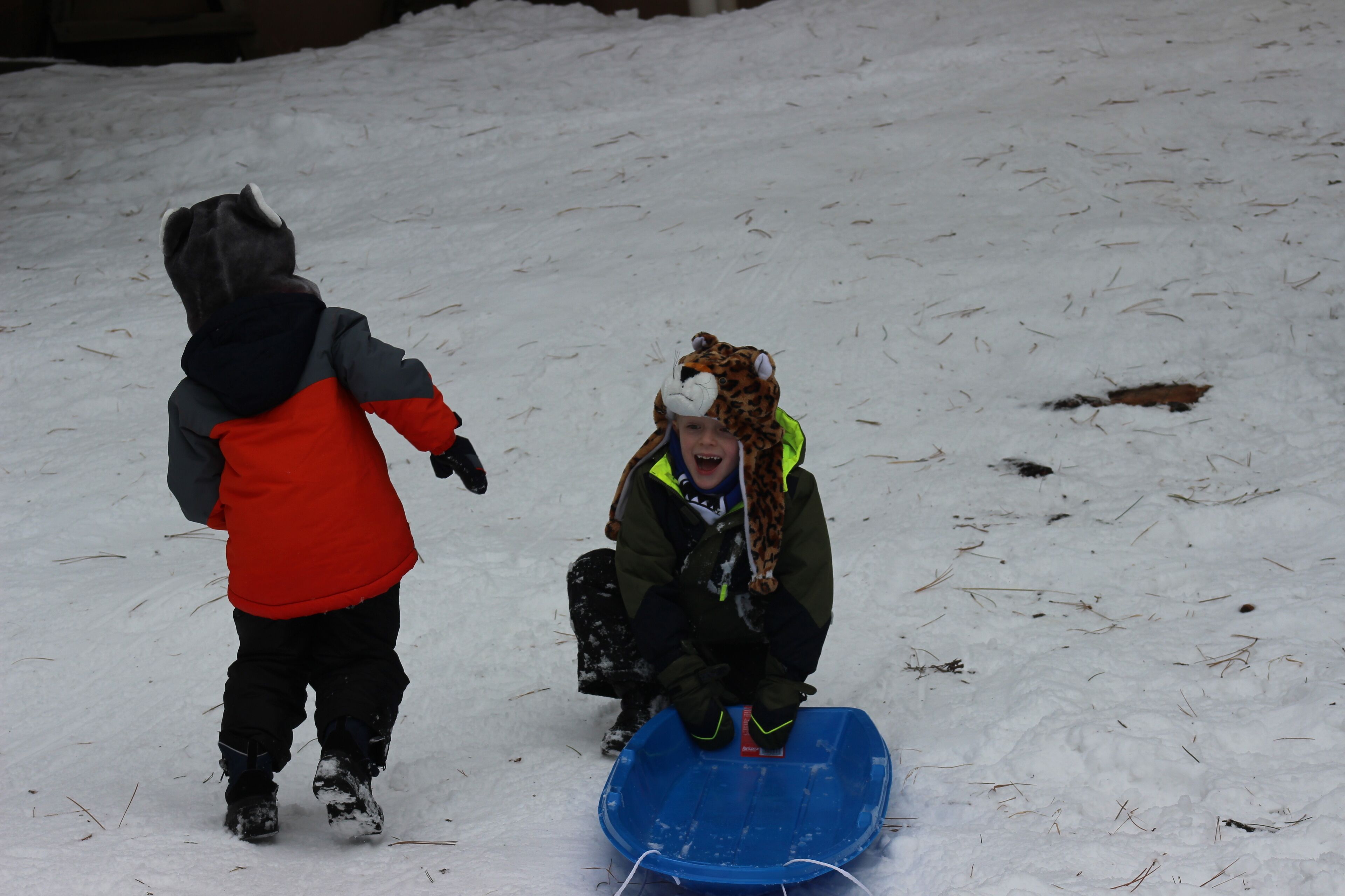 Wintersport/Ski