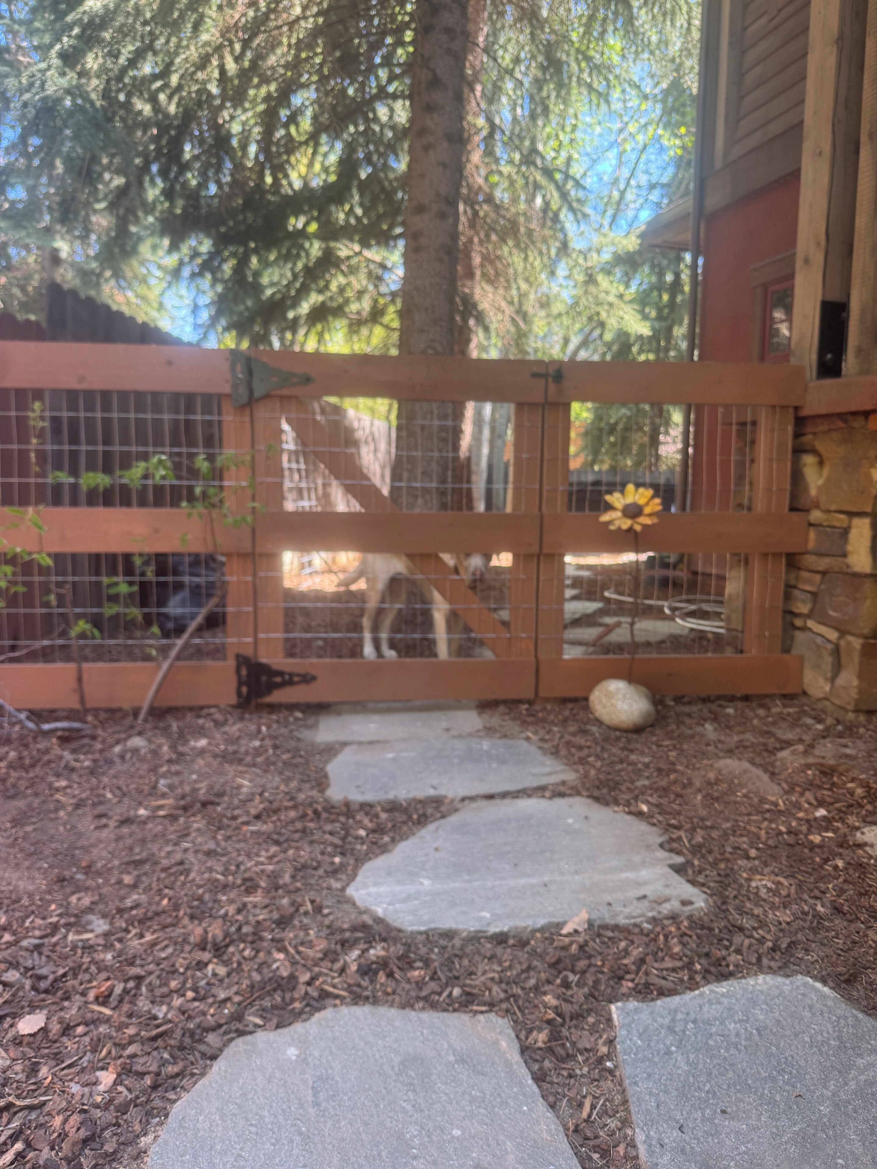 A fenced outdoor area with a stone pathway leading to a wooden gate.