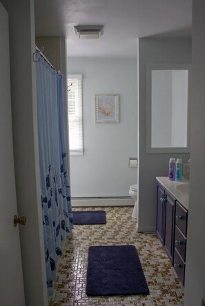A bathroom with a shower curtain, a framed picture on the wall, a toilet, and a sink with toiletries. - Charming & spacious beach home in Bonnet Shores, Narragansett (Narragansett)