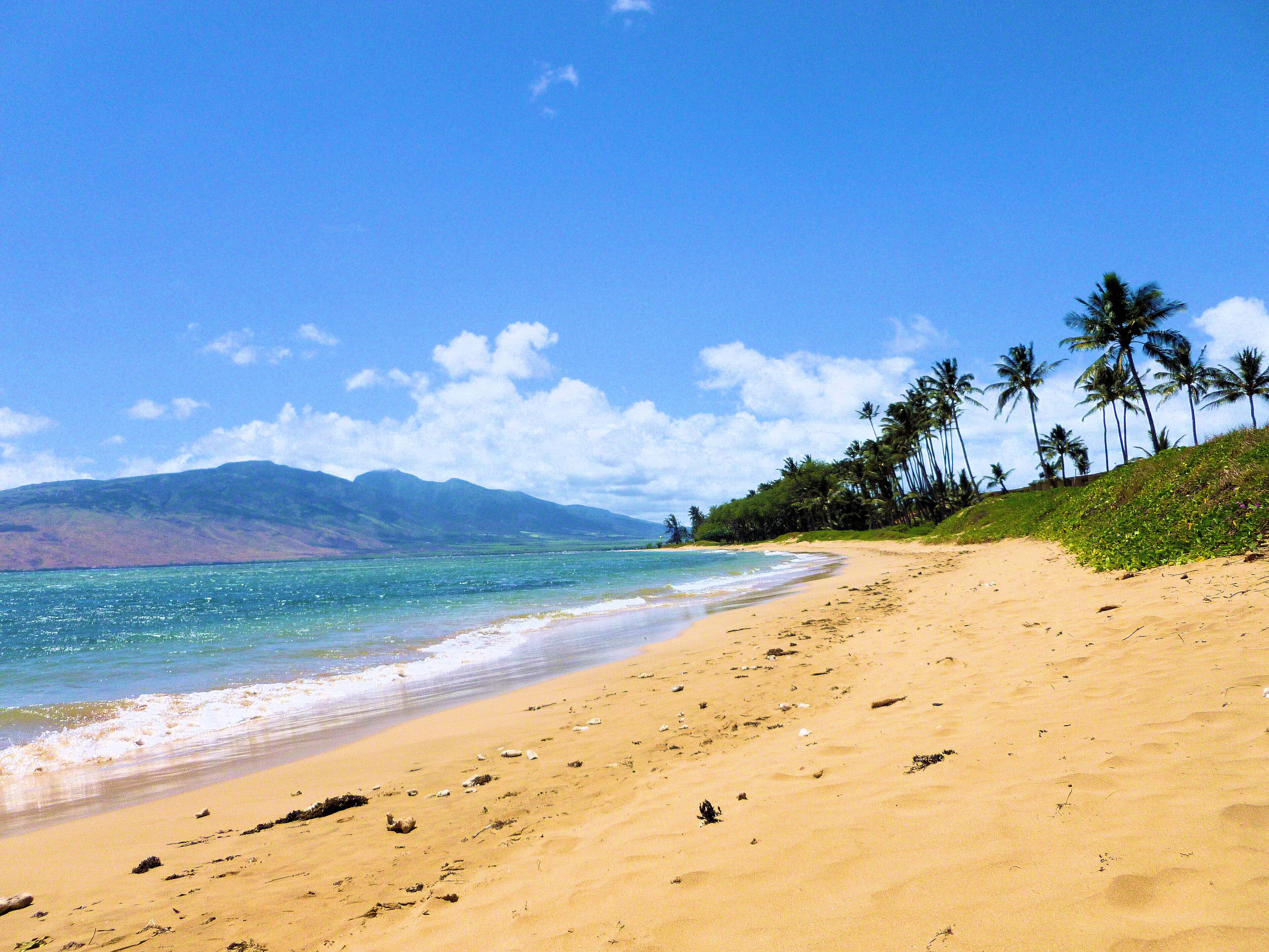 Beach nearby, sun loungers, beach towels