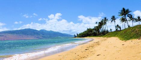 Beach nearby, sun loungers, beach towels