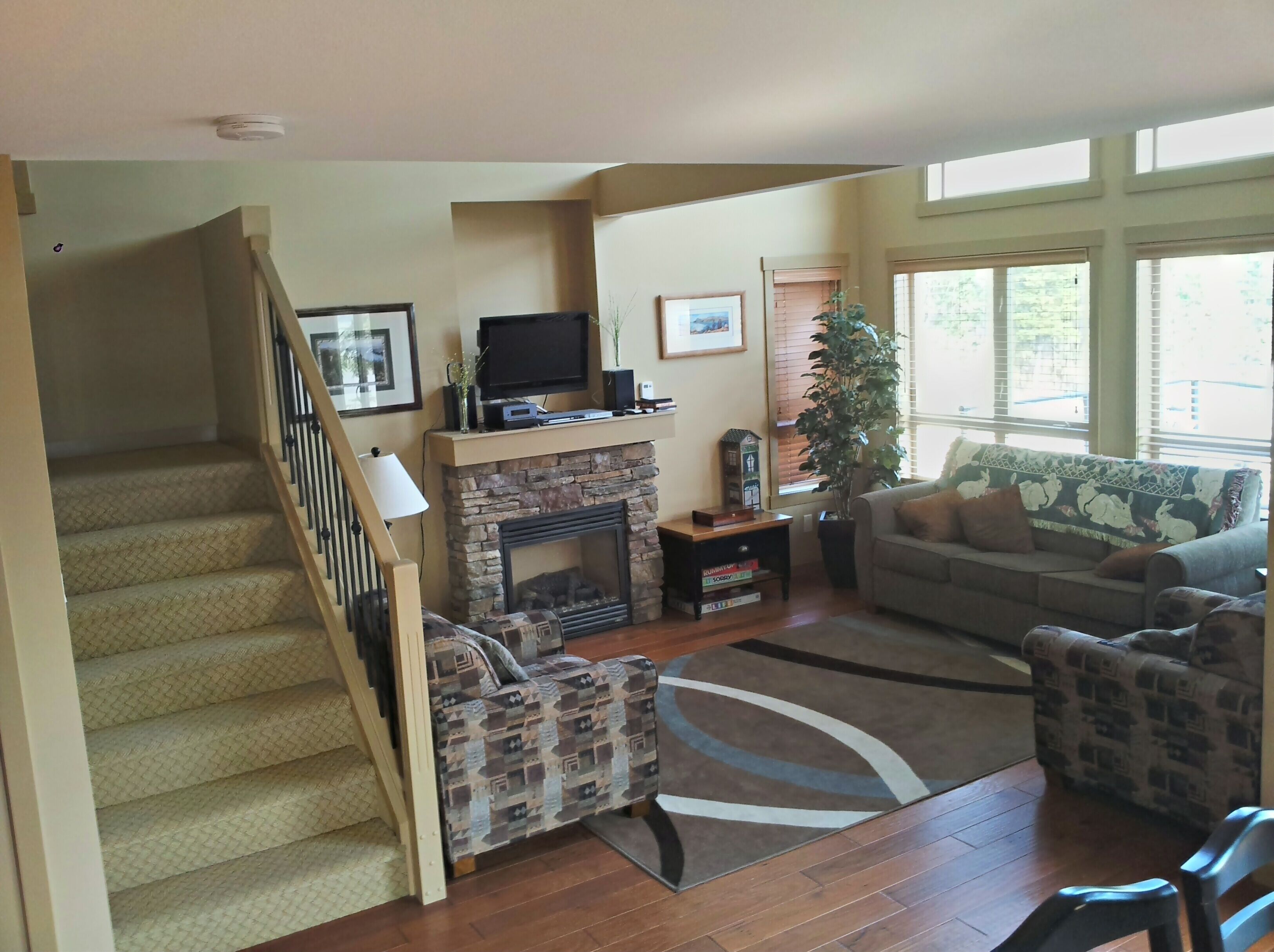 Télévision, cheminée, lecteur de DVD, livres