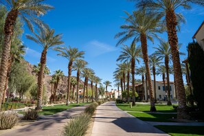 Stroll through a serene neighborhood lined with tall palm trees and well-manicured lawns.