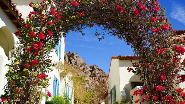 A white building with blue shutters, a stone staircase, and a red flowering archway.