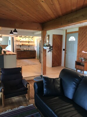 TV, fireplace, DVD player, books