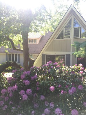 Traditional home surrounded by lush gardens and a tree, offering a living space.