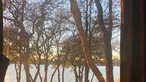 Une vue à travers une fenêtre donnant sur des arbres et une étendue d’eau.