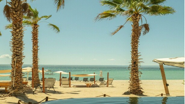 Ein Strand mit Palmen, Liegestühlen und einem Pool.