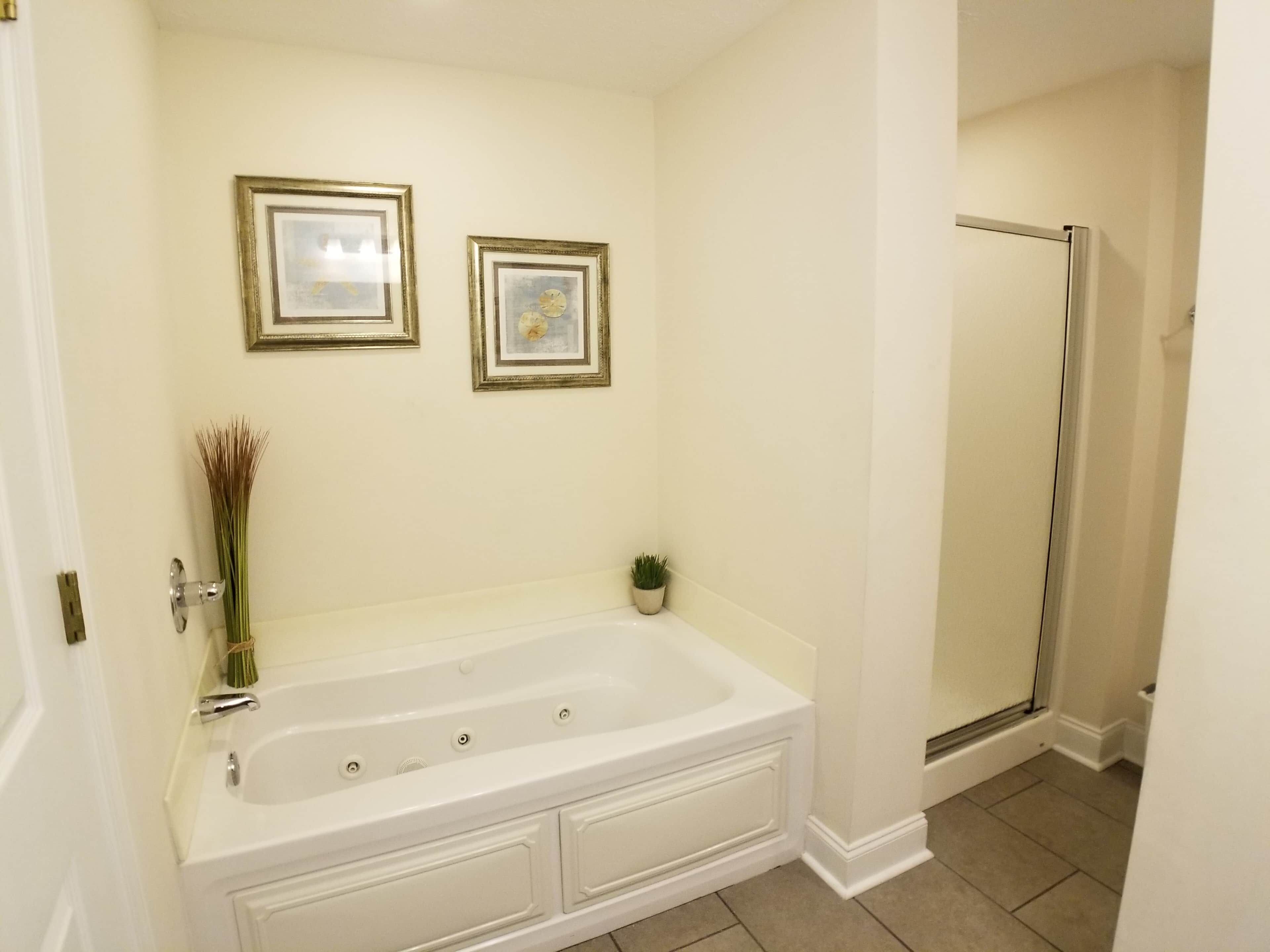 A bathroom with a white bathtub, two framed pictures on the wall, a small potted plant, and a shower area.