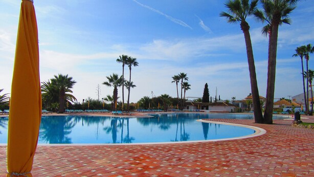 A swimming pool with lounge chairs and palm trees. -   Modern 1 bedroom apartment on the sea front of Cabanas De Tavira   (Cabanas de Tavira)