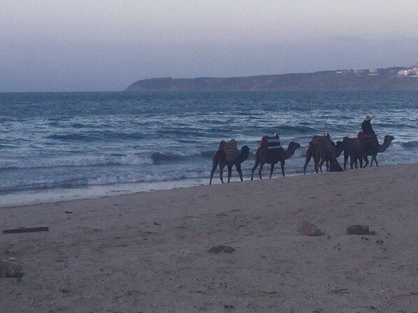 Vlak bij het strand