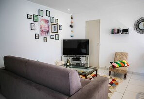 Télévision, lecteur de DVD, livres
