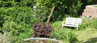 Apartment Dora 1 - Apartment Dora 1