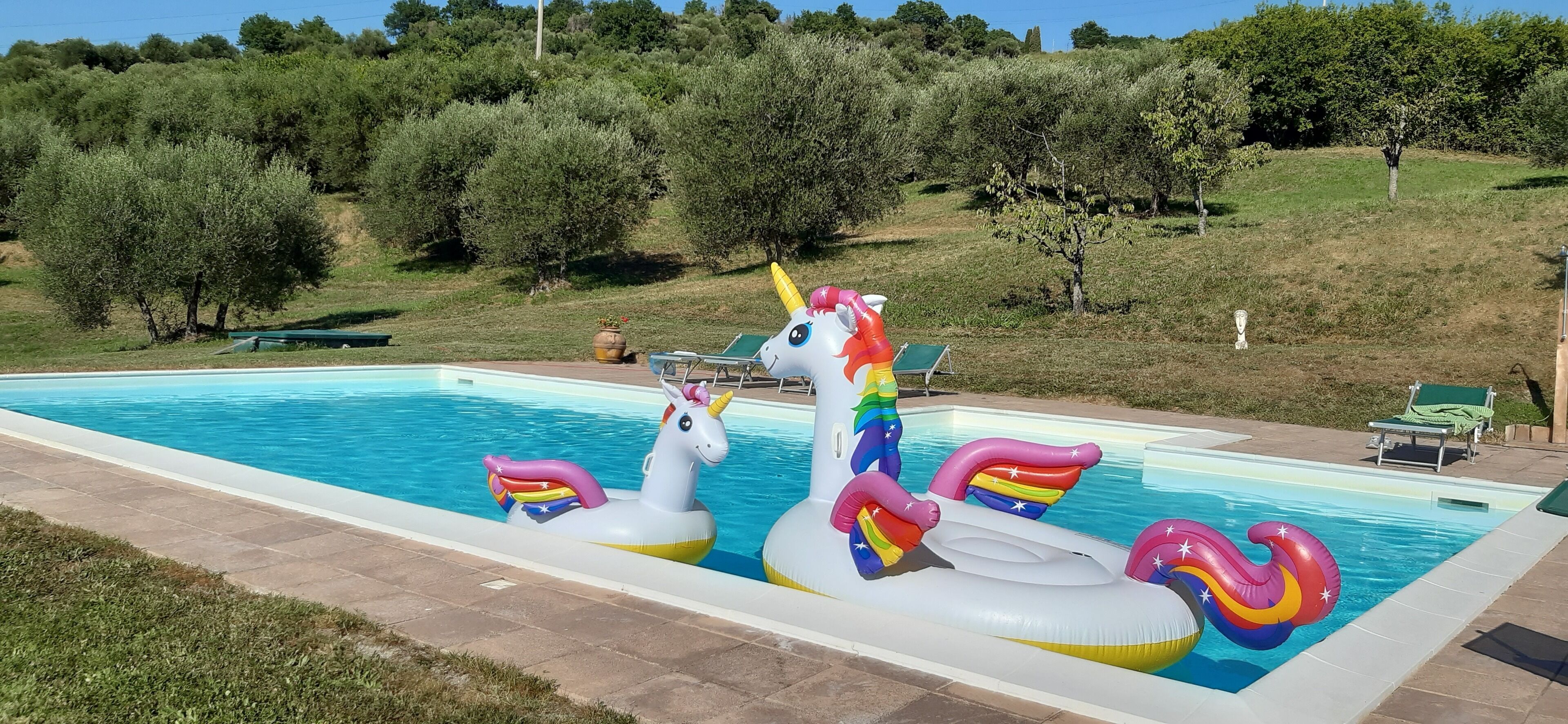 Piscine extérieure