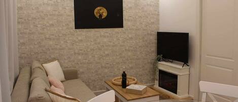 TV, fireplace, books